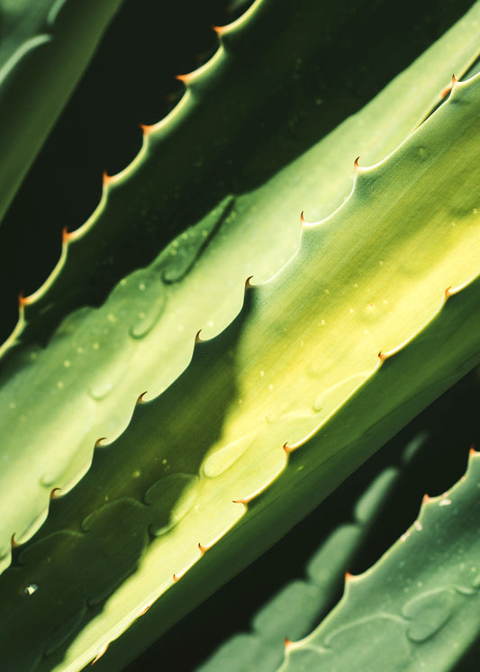 How to Reduce Redness on Your Face: 10 Do’s and Dont’s